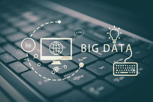 大數(shù)據(jù)營銷 現(xiàn)代化營銷方式的核心引擎與服務體系